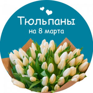 Купить тюльпаны в Давлеканово